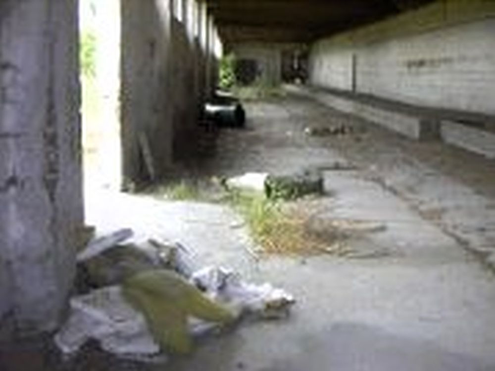 Firmengeschichte - 2008